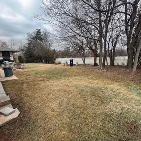 Leaf Removal by Jjecofriendly reviewed on December 18, 2025