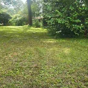Leaf Removal by TAKE OVER LANDSCAPING&amp;SNOW reviewed on July 22, 2026