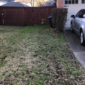 Bush Trimming by FRL Landscaping reviewed on August 17, 2025