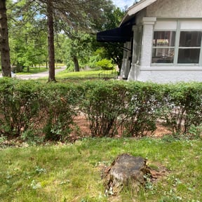 Bush Trimming by Mowpro reviewed on August 21, 2025