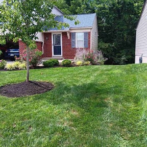 Bush Trimming by AJS LAWNCARE & HOME IMPOVEMENT reviewed on August 17, 2025