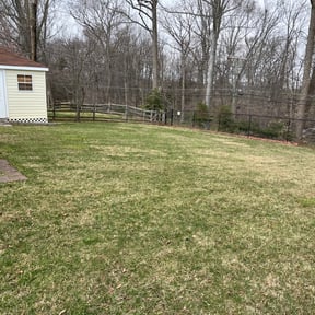 Leaf Removal by StylePro LLC reviewed on September 15, 2025