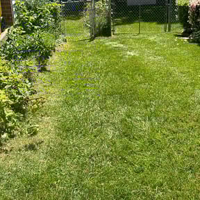 lawn care by J and Son Lawn Care reviewed on October 4, 2023