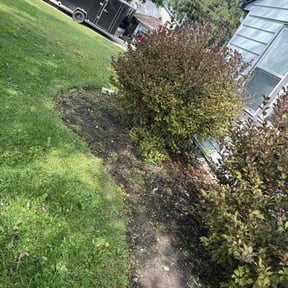 Flower Bed Weeding by Supreme Lawn Care reviewed on October 24, 2025