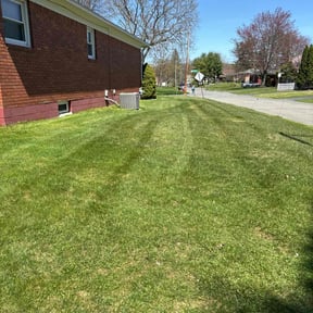lawn care services by Razor Sharp Landscaping reviewed on May 13, 2024