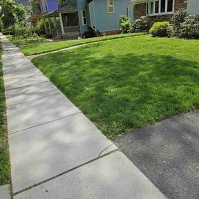 gardening service by Lindsay’s lawncare reviewed on August 15, 2025