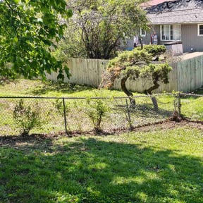 Leaf Removal by Lawn Lovers Landscaping reviewed on April 30, 2026