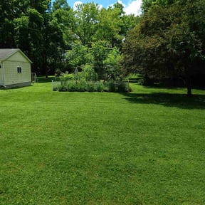 landscaping services by Jonathan Page Sr reviewed on August 15, 2025