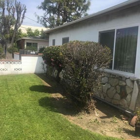 Bush Trimming by Freemans Flourishing Lawns reviewed on November 23, 2025