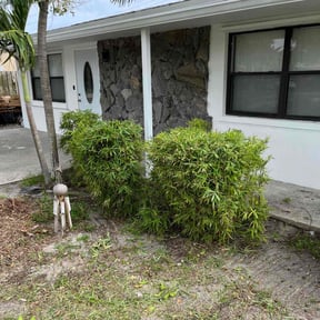 Bush Trimming by M.A.C & Utilities llc. reviewed on August 18, 2025