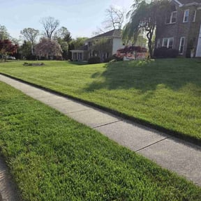 landscaping by Paz Lawn Care LLC reviewed on July 8, 2023