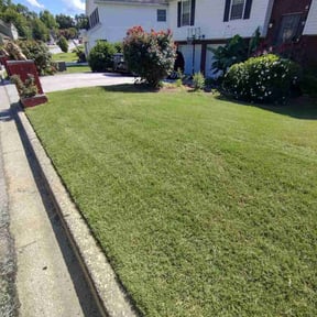 landscaping by On Time Handyman Full Service reviewed on March 18, 2024