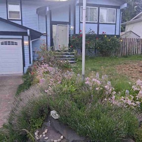 Leaf Removal by Nestorlawncare reviewed on June 15, 2026