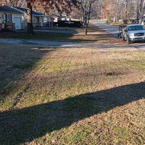 Leaf Removal by TNA Home Services reviewed on September 14, 2025