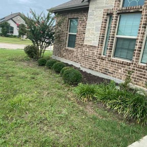 Bush Trimming by The bed and lawn Doctor reviewed on June 15, 2026