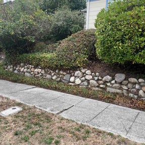 Bush Trimming by Tyler lawn service reviewed on August 20, 2025