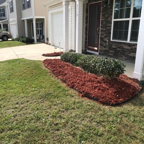 Bush Trimming by B&J Landscape reviewed on August 19, 2025