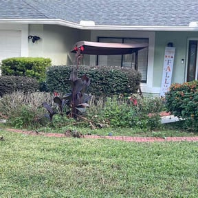 Bush Trimming by Green and clean reviewed on August 20, 2025