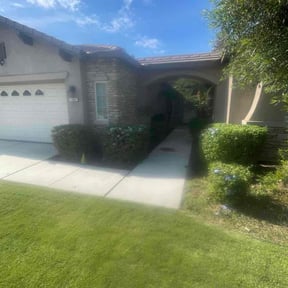 Bush Trimming by Tim's lawn service reviewed on November 22, 2025