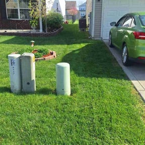 yard service by Lively Lawn Care &amp; Handy Man Services reviewed on August 9, 2024