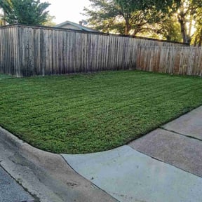 lawn service by David's Landscaping reviewed on November 9, 2017
