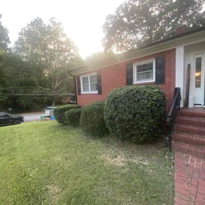 Bush Trimming by Rhino Tuff Lawncare and Tree Specialist reviewed on October 21, 2025