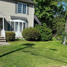 turf care by FALCON LANDSCAPE AND HOME SOLUTIONS reviewed on May 11, 2024