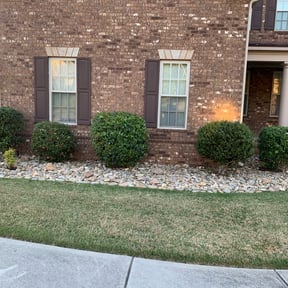 Bush Trimming by A Closer Look Residential Inspections LLC reviewed on August 16, 2025