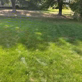 Bush Trimming by David Peters reviewed on October 23, 2025