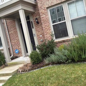 Flower Bed Weeding by EMP  groundskeeping LLC reviewed on November 20, 2025