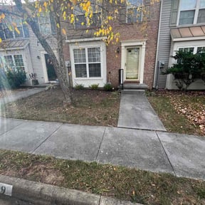 Leaf Removal by Sisu lawn care reviewed on August 15, 2025