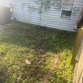 Bush Trimming by Wayne lawn care reviewed on August 21, 2025