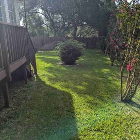 landscaping services by Sunny side properties llc reviewed on August 16, 2025