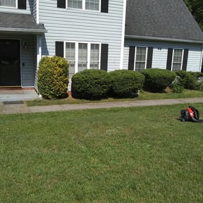 Bush Trimming by Live landscaping reviewed on August 21, 2025