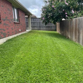 residential landscaping by Primitive Landscaping reviewed on August 17, 2025