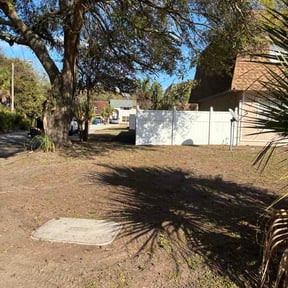 Leaf Removal by See Real Cuts reviewed on March 3, 2026