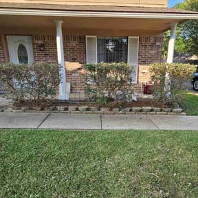 Bush Trimming by CnC lawn care reviewed on August 13, 2025