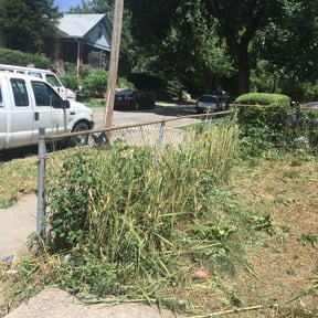 Bush Trimming by Better Essence Lawn Care reviewed on August 19, 2025