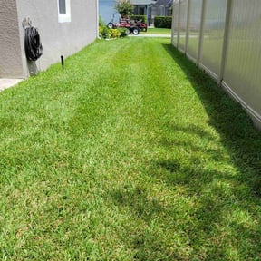 yard care by S&M land maintenance reviewed on August 19, 2025