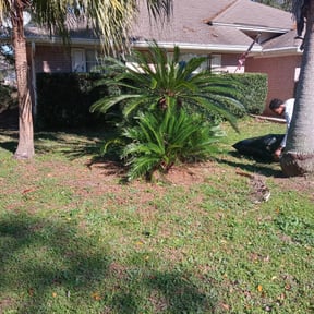 Bush Trimming by Verde Lawn and Property Management reviewed on August 21, 2025