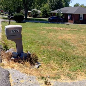 Bush Trimming by Pineda landscaping reviewed on August 21, 2025