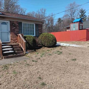 Bush Trimming by Morene Garcia reviewed on February 11, 2026