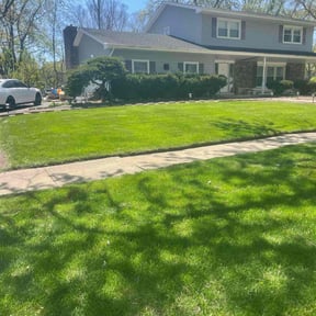 turf maintenance by The Marchetti Method reviewed on July 26, 2025