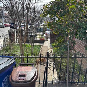 Bush Trimming by Tree service and moving reviewed on June 15, 2026