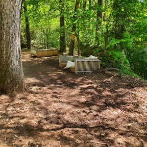 Leaf Removal by Cossie Landscaping reviewed on September 11, 2025