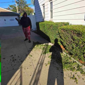 Bush Trimming by In &amp; out property management reviewed on November 4, 2025