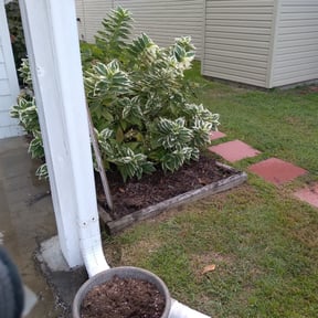 Flower Bed Weeding by JB Mowing reviewed on September 12, 2026