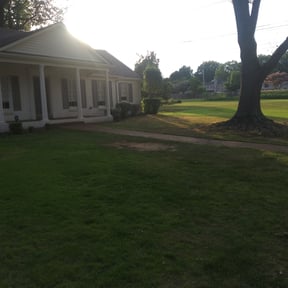 Bush Trimming by Liberty Construction and Maintenance LLC reviewed on August 18, 2025