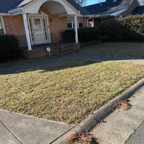 Leaf Removal by Frank's lawncare reviewed on August 4, 2026