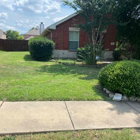 grass maintenance by Joseph Fullner reviewed on August 19, 2025